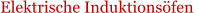 Elektrische Induktionsfen