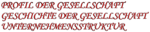 PROFIL DER GESELLSCHAFT GESCHICHTE DER GESELLSCHAFT UNTERNEHMENSSTRUKTUR