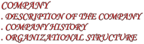 COMPANY . DESCRIPTION OF THE COMPANY . COMPANY HISTORY . ORGANIZATIONAL STRUCTURE